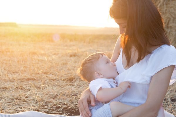 Beautiful happy mother breastfeeding her baby boy outdoor. Mother breastfeeding in a field at sunset in nature. Healthy eating.